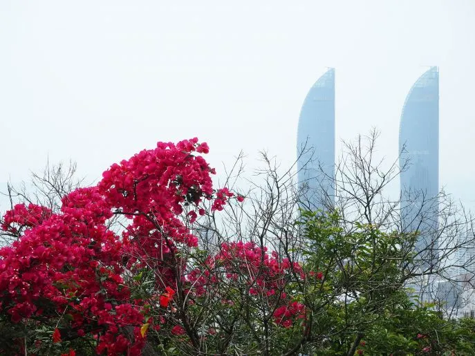 Uitzicht-Xiamen-torens-rode-bloemen