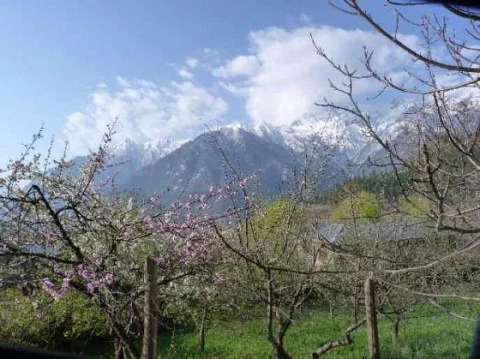 humla simikot