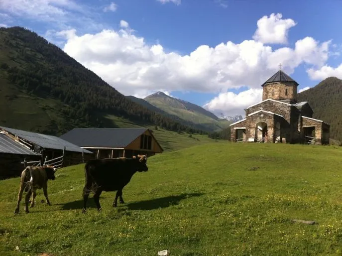 shenako tusheti