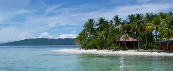 dimsum reizen indonesie west papua raja ampat 1