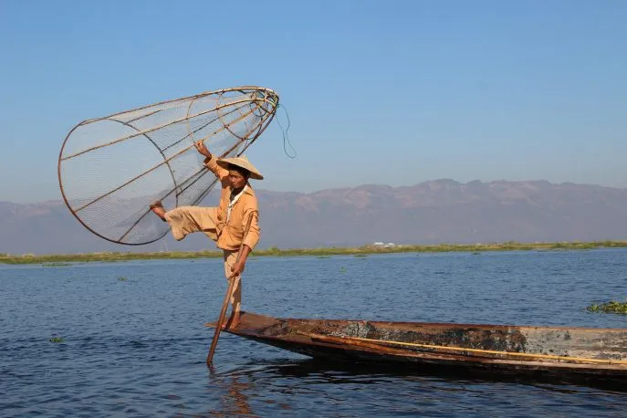 dimsum rein in stijl naar myanmar