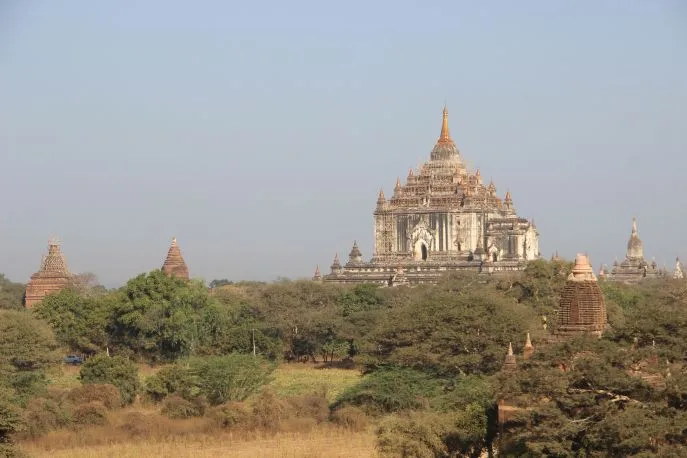 dimsum reizen tempelgebied bagan