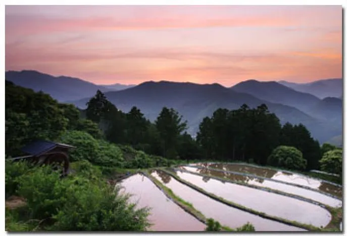 takaharasunset