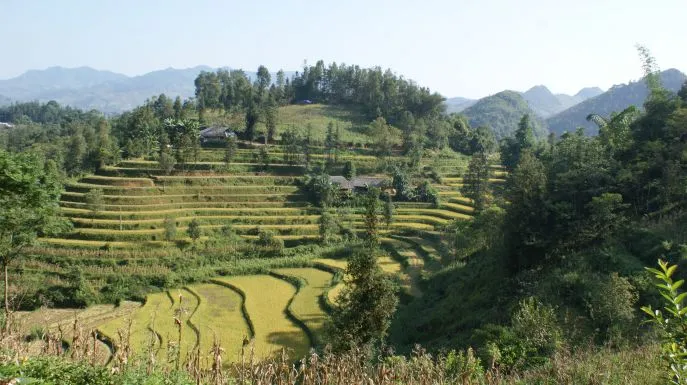 dimsum reizen noordwest vietnam sapa