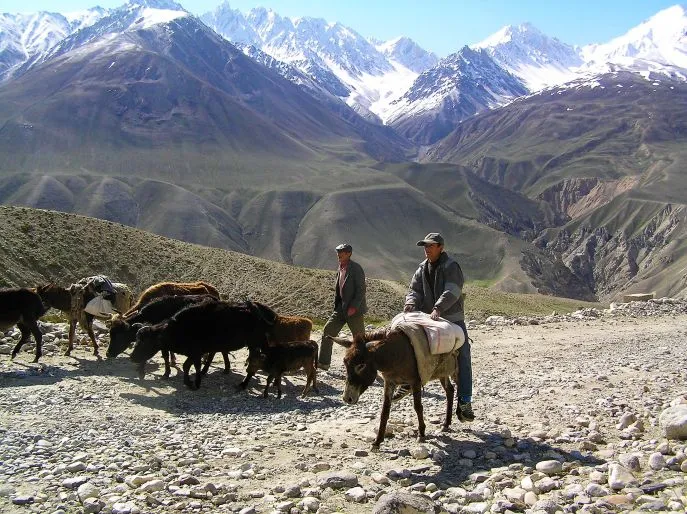 11 dimsum tadzjikistan kargushpas