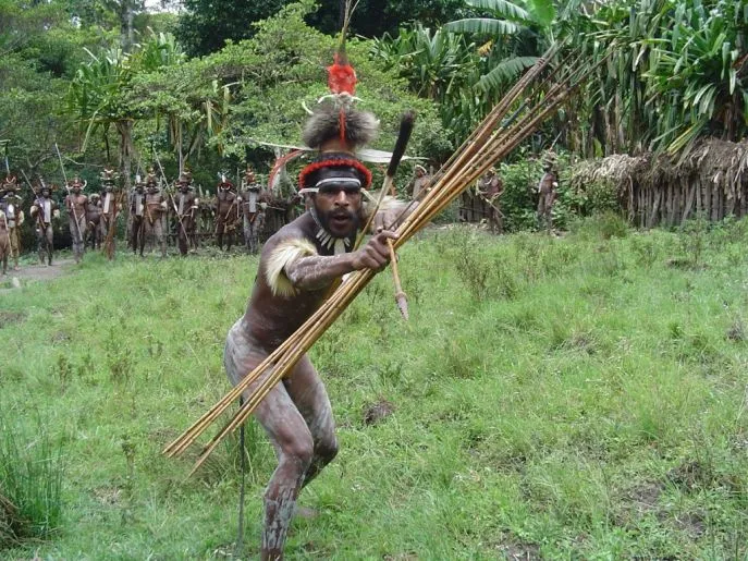 dimsum reizen west papua baliem vallei festival