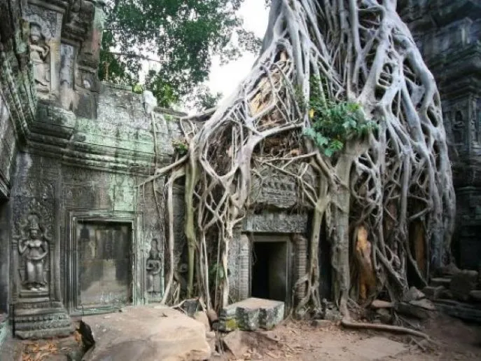 dimsum reizen cambodja bezoek aan takeo