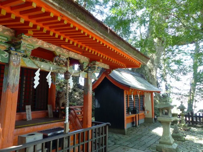takahara schrijn dimsum reizen