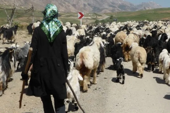 qashqai nomaden iran reizen