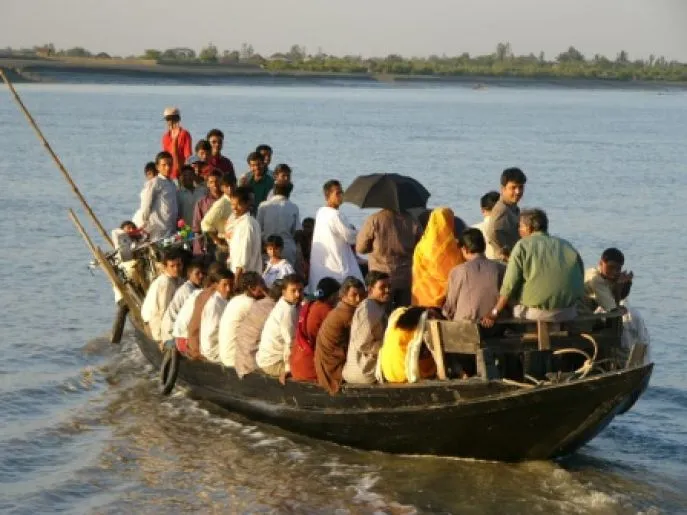 reis sundarbans india