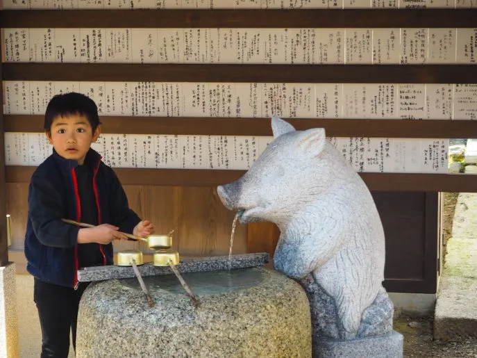 japankyoto 33956341718 o