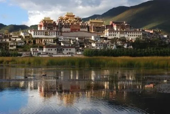 zhongdian yunnan dimsum reizen 2