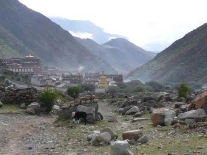 tsurpu klooster tibet