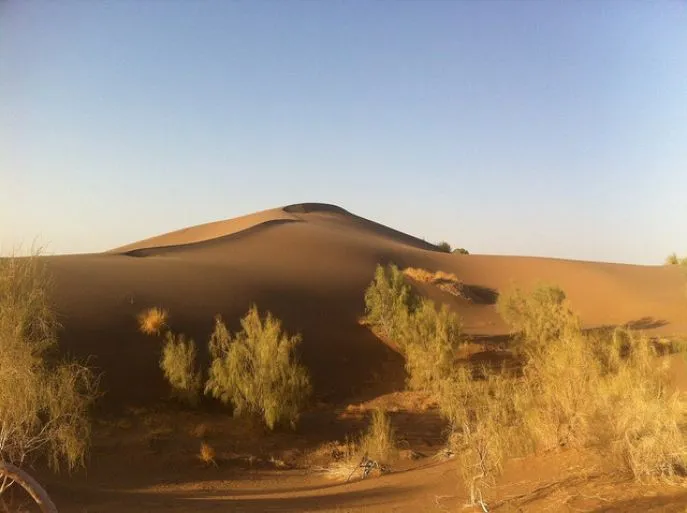 fahrazad iran 2