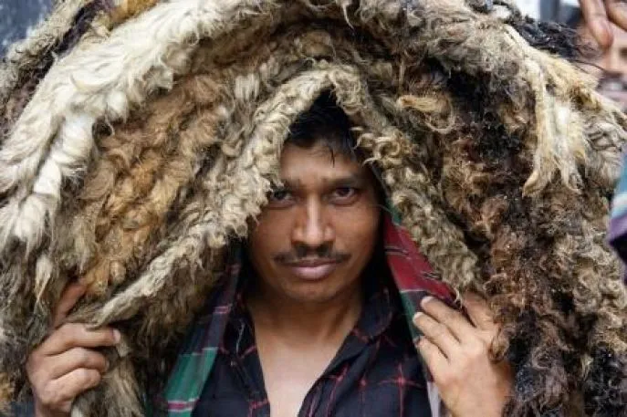 bangladesh rondreis