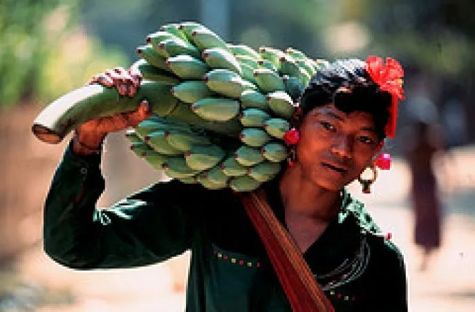 bangladesh chittagong reis