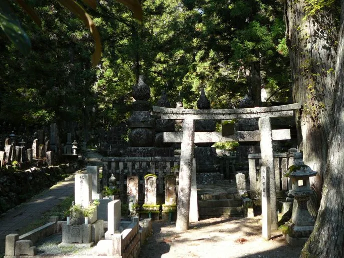 mt koya 7