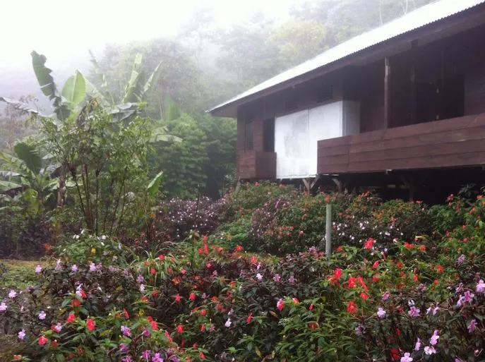 junglelodge arfak gebergte