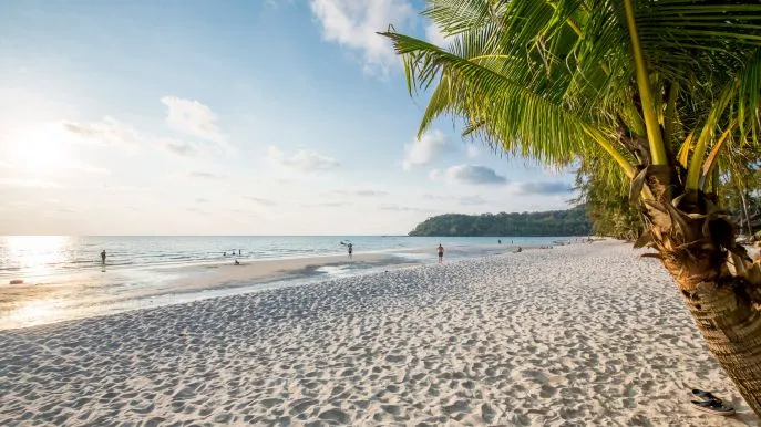 dimsum reizen naar koh kood thailand