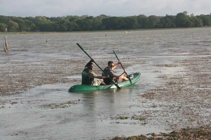 kayakken bij yala met dimsum reizen