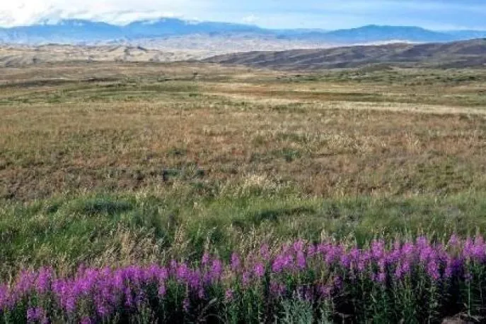 landschap tuva