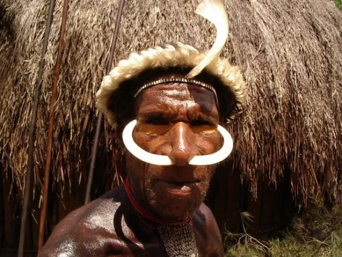 dimsum reizen indonesie west papua baliem