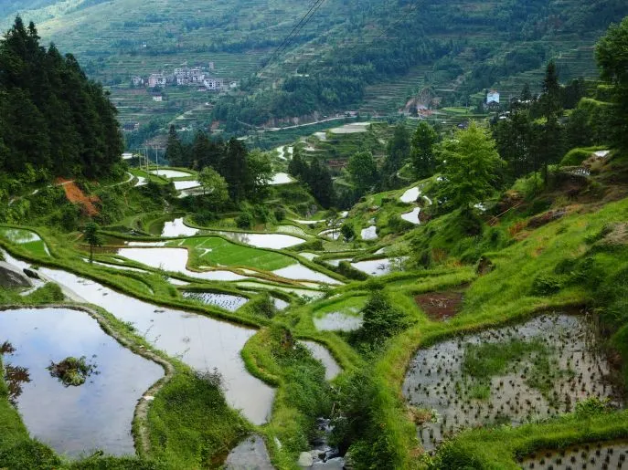 tangan zhaoxing china guizhou