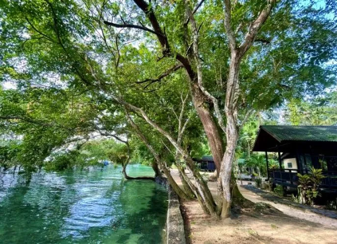 the village bunaken resort