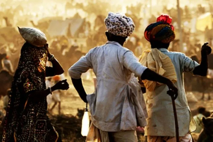 pushkar kamelen festival 3