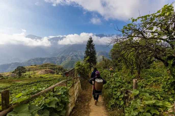 dimsum reizen vietnam sapa 3