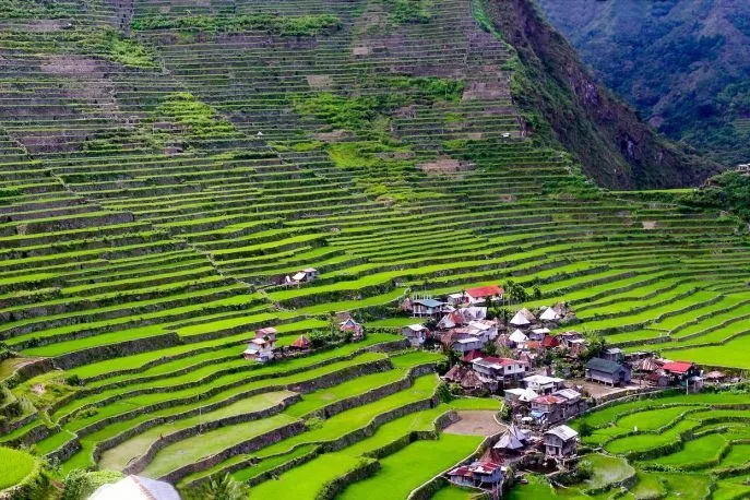 banaue rijstterrassen filipijnen 9 2