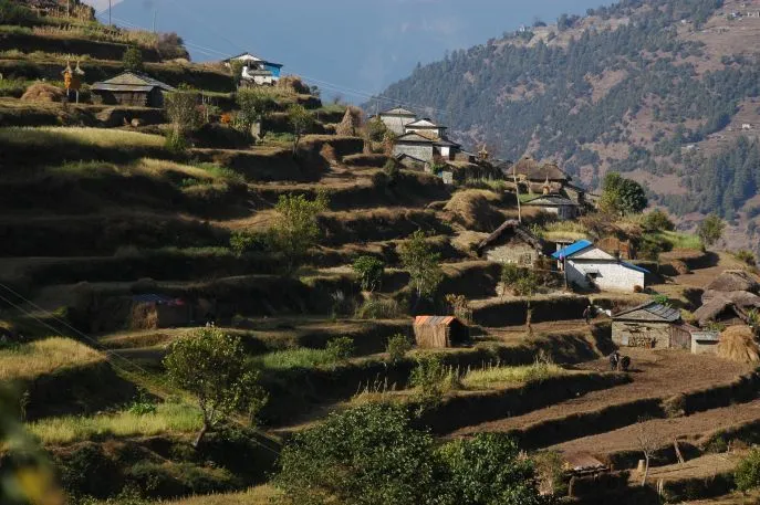 dimsum reizen nepal community trek nangi