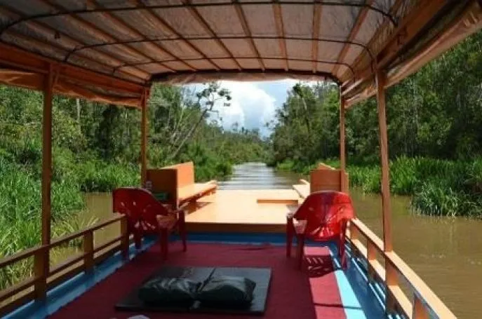 klotok tanjung puting