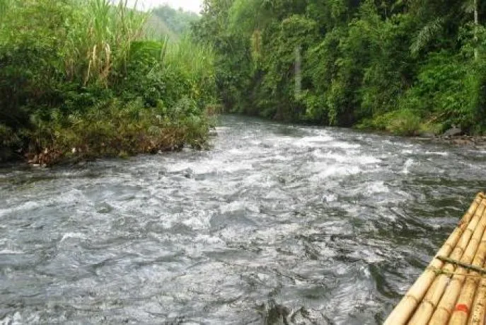 vlot kalimantan