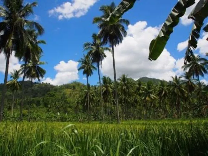 landschap negros oriental