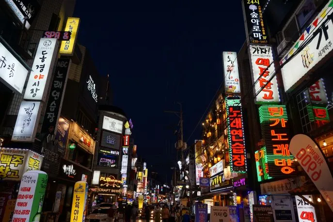dimsum reizen seoul stopover gangnam by night