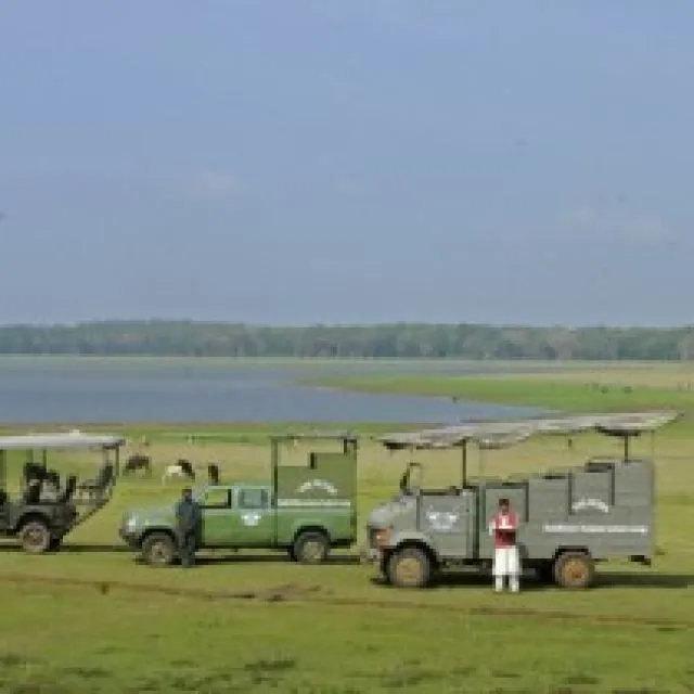 kabini safari india