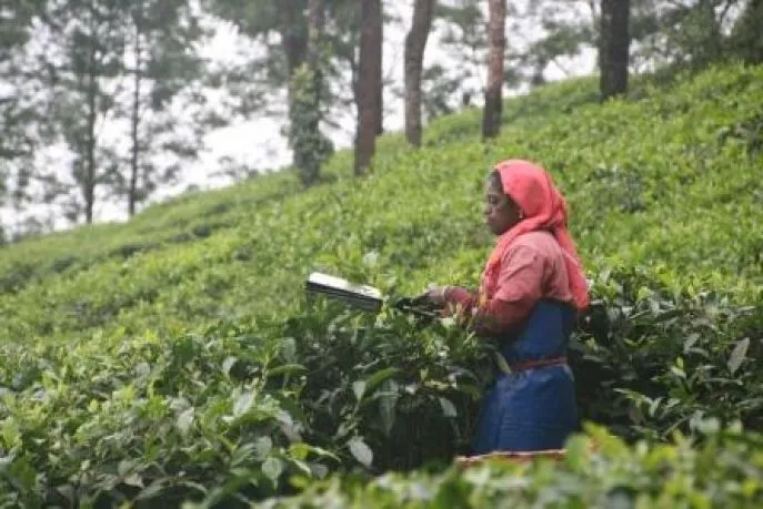 wayanad india