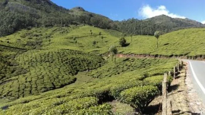 western ghats india