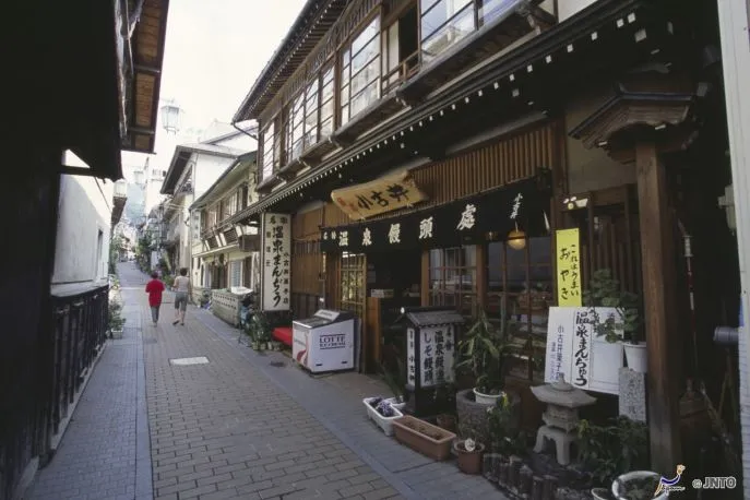 dimsum reizen japan shibu onsen bouwsteen