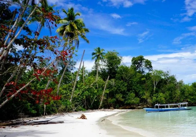 dimsum reizen togean eilanden sulawesi indonesie