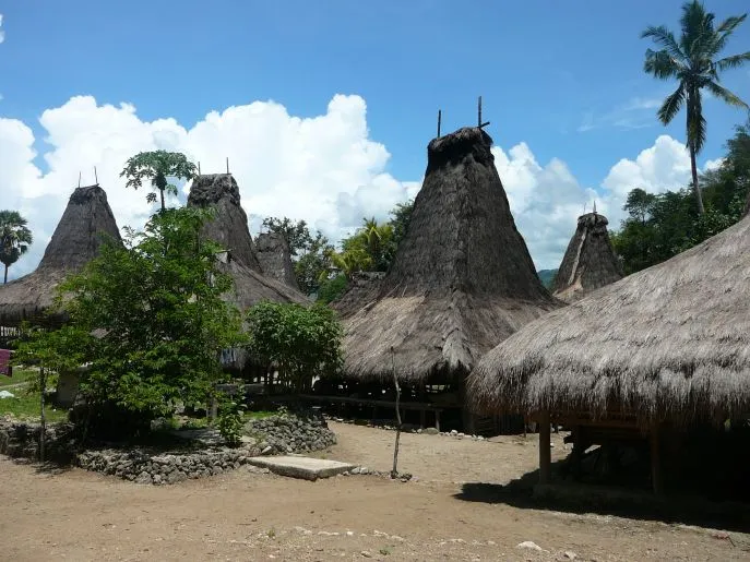 sumba 027