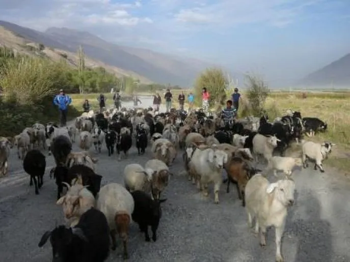 onderweg in tadzjikistan 2