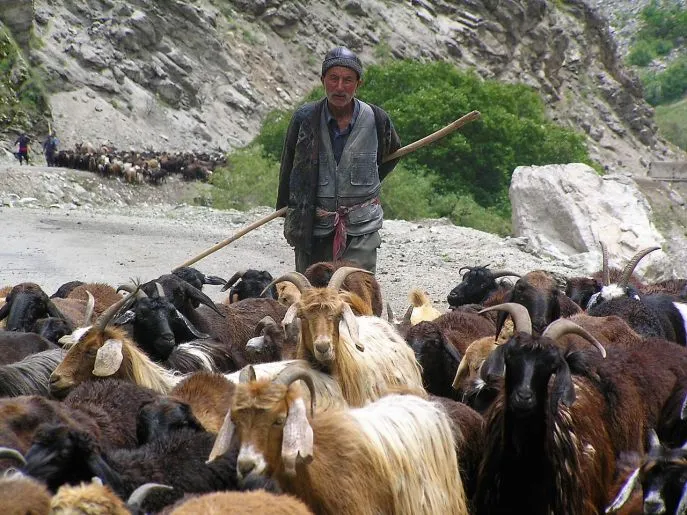 11 tajikistan onderweg naar dushanbe