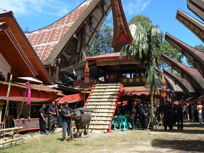 dimsum reizen indonesie huwelijksreis tana toraja 2