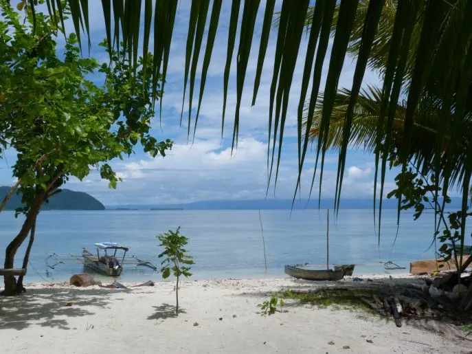 dimsum reizen huwelijksreis indonesie raja ampat reis