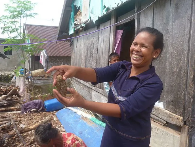 baubau sulawesi dimsum