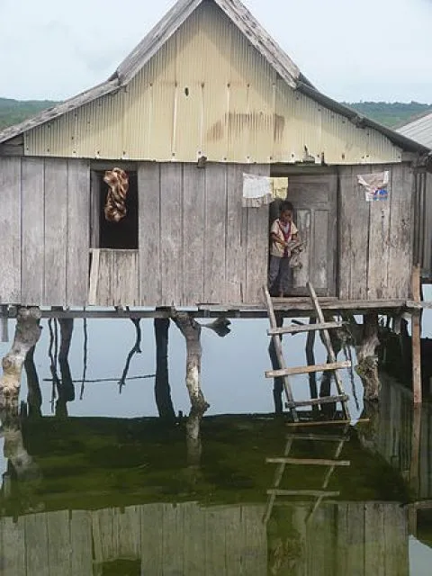 wasuemba sulawesi