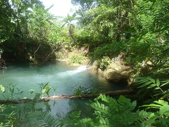 baubau sulawesi dimsum2