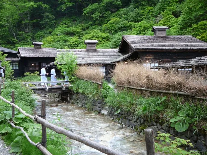 dimsum reizen japan honshu semboku tsurunoyo onsen 1